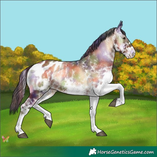 Horse Color:Nacre White Spotted Liver Red Onyx Appaloosa 