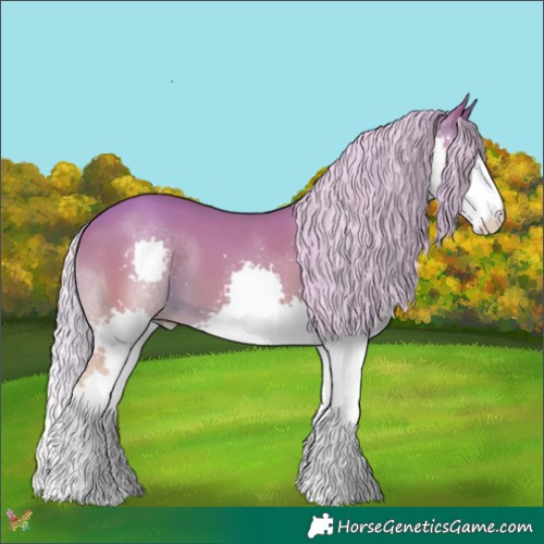 Horse Color:Watercolor Silver Amber Champagne Splash 