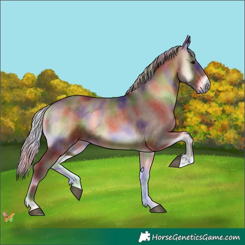 Horse Color:Nacre Silver Brown Onyx 