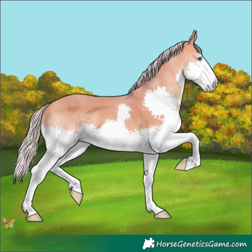 Horse Color:Watercolor Silver Sable Champagne Splash 