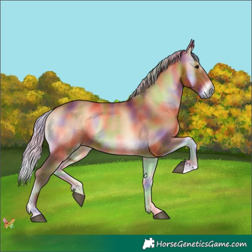 Horse Color:Nacre Silver Bay Onyx 