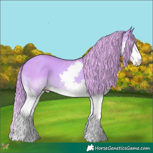 Horse Color:Watercolor Gold Champagne Dun Splash 