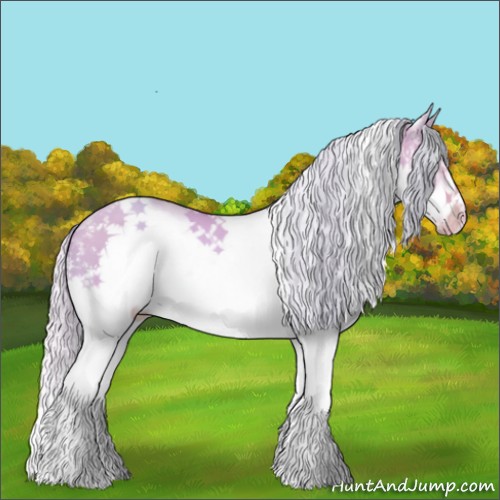 Horse Color:Watercolor White Spotted Silver Amber Champagne Dun Splash Frame 