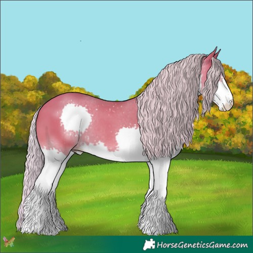 Horse Color:Watercolor Silver Amber Champagne Splash 