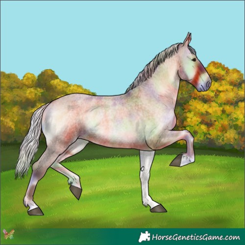 Horse Color:Nacre Silver Brown Roan Onyx 