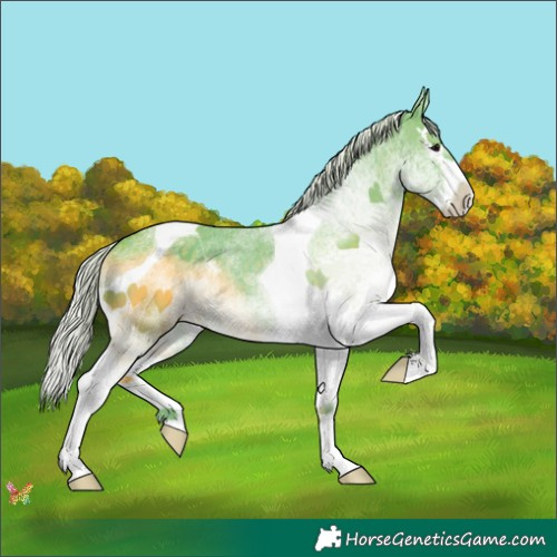 Horse Color:Watercolor White Spotted Silver Black Splash Tobiano 