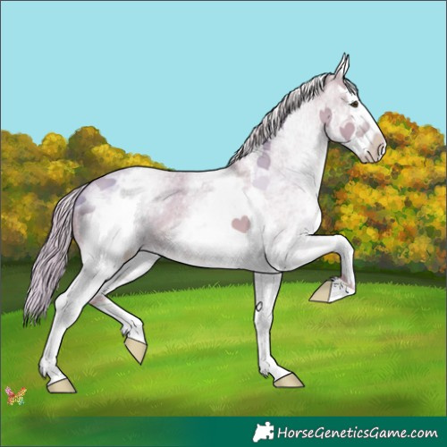Horse Color:Watercolor White Spotted Chocolate Palomino Dun Sabino Splash 