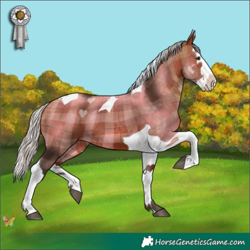Horse Color:Plaid  Silver Brown Splash Tobiano 