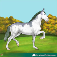 Horse Color:Watercolor Sable Cream Champagne Splash 