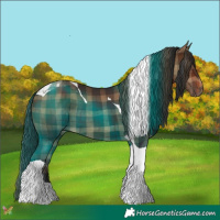 Horse Color:Plaid Bay Tobiano
