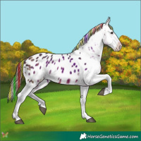 Horse Color:Painted Plaid Brown Tobiano Appaloosa