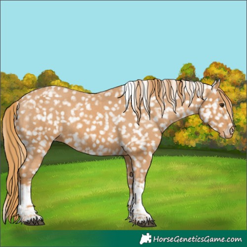 Horse Color:Chestnut Tobiano Snowflake Varnish