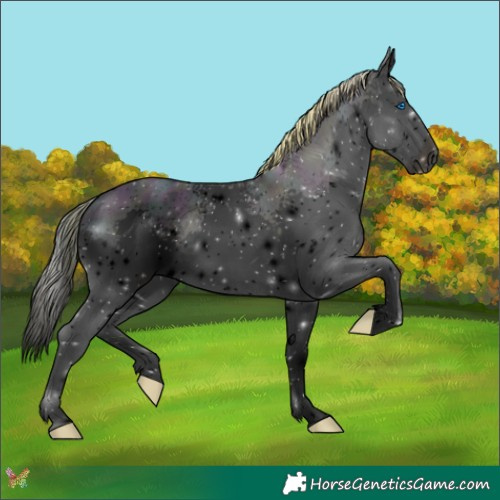 Horse Color:Void Watercolor White Spotted Midnight Gold Champagne Splash