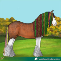Horse Color:Painted Bay Splash 