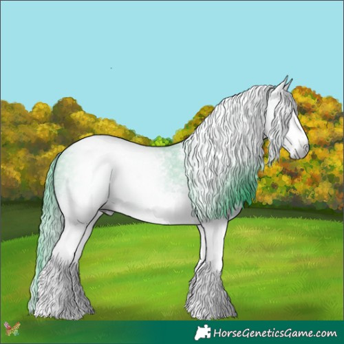 Horse Color:Gray Watercolor White Spotted Black Sabino 