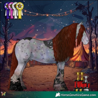 Horse Color:ERROR: UNKNOWN ANOMALY