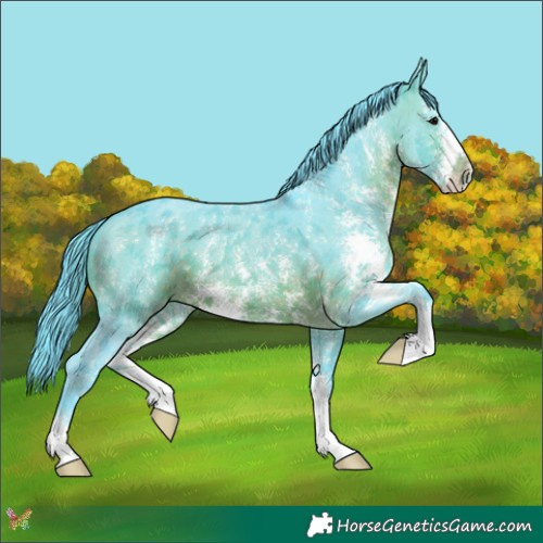 Horse Color:Watercolor Brown Sabino 