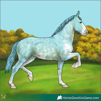 Horse Color:Watercolor Brown Sabino 