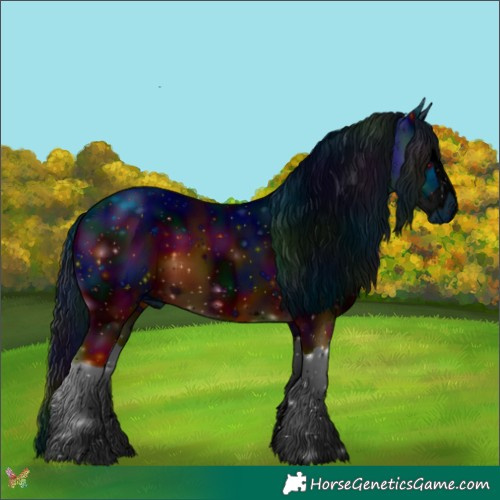 Horse Color:ERROR: UNKNOWN ANOMALY