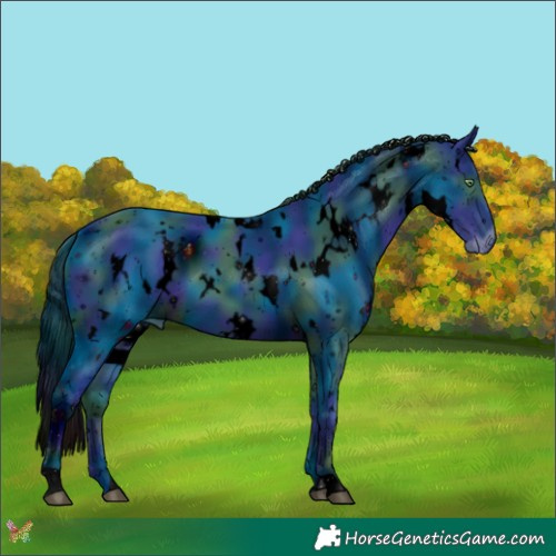 Horse Color:ERROR: UNKNOWN ANOMALY