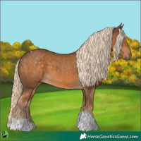 Horse Color:Chocolate Palomino Tobiano