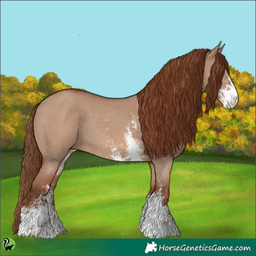 Horse Color:Red Dun Sabino Rabicano