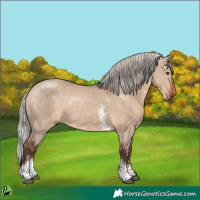 Horse Color:Silver Brown Dun Sabino Rabicano 