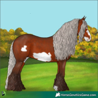 Horse Color:Silver Bay Frame