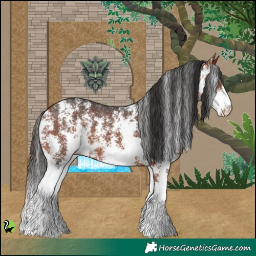 Horse Color:Bay Sabino Rabicano 