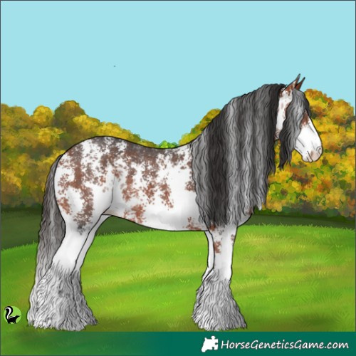Horse Color:Bay Sabino Rabicano 