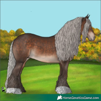 Horse Color:Silver Brown