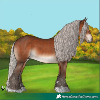 Horse Color:Silver Brown 