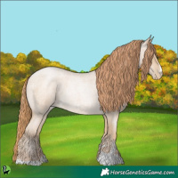 Horse Color:Buckskin Roan Pearl 