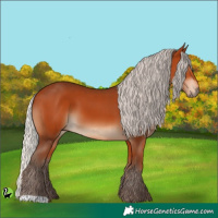 Horse Color:Silver Bay 
