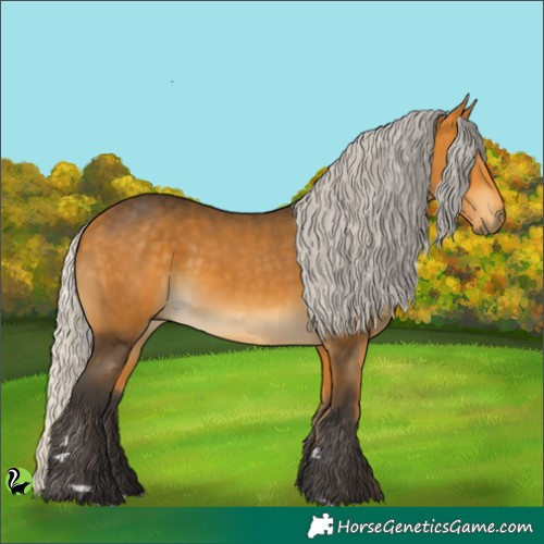 Horse Color:Silver Buckskin