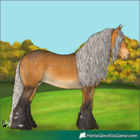 Horse Color:Silver Buckskin 