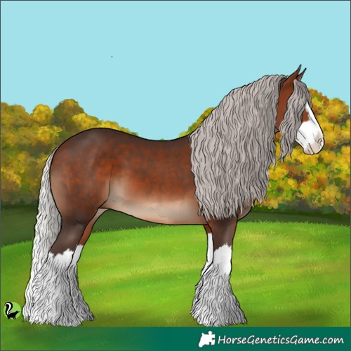 Horse Color:Silver Brown Splash 