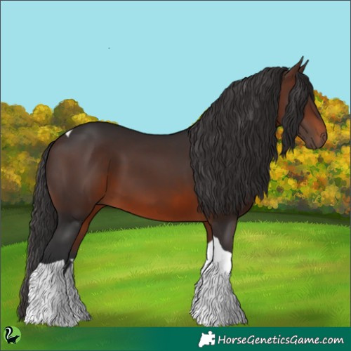 Horse Color:Brown Tobiano