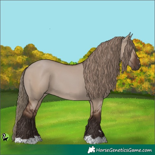 Horse Color:Liver Red Dun
