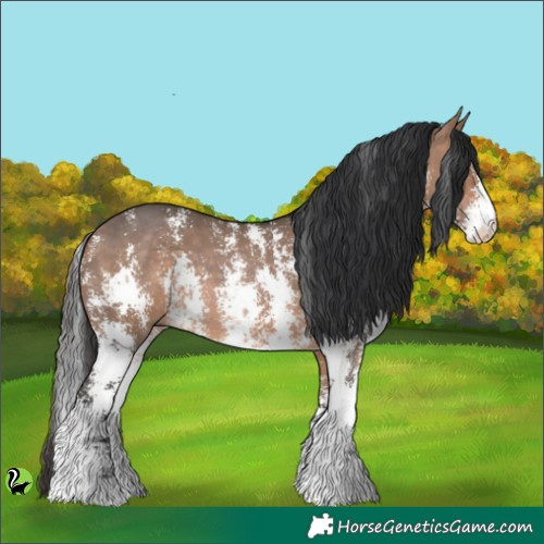 Horse Color:Brown Dun Sabino Rabicano