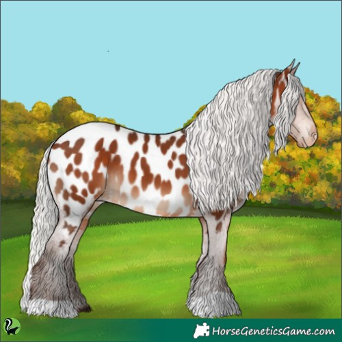 Horse Color:Silver Brown Near Leopard 