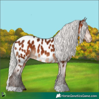 Horse Color:Silver Brown Near Leopard 