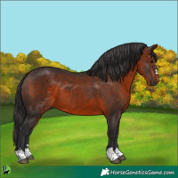Horse Color:Brown 