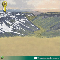 Horse Color:Silver Brown Dun