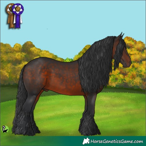 Horse Color:Brown 