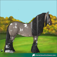Horse Color:White Spotted Brown Dun 