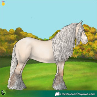 Horse Color:Silver Bay Pearl Dun Sabino