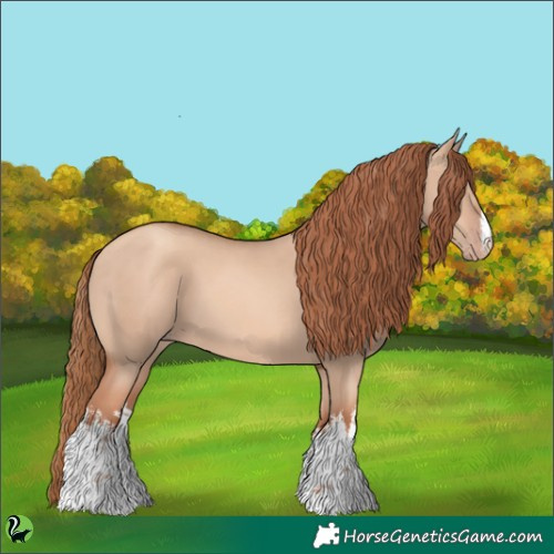 Horse Color:White Spotted Gold Champagne Dun