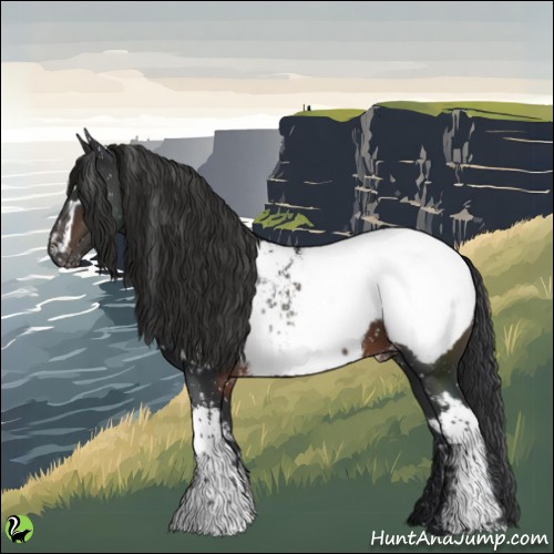 Horse Color:White Spotted Brown Snowcap 