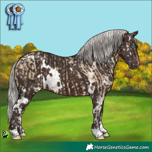Horse Color:Silver Buckskin Pearl Sabino  and White Spotted Silver Brown 